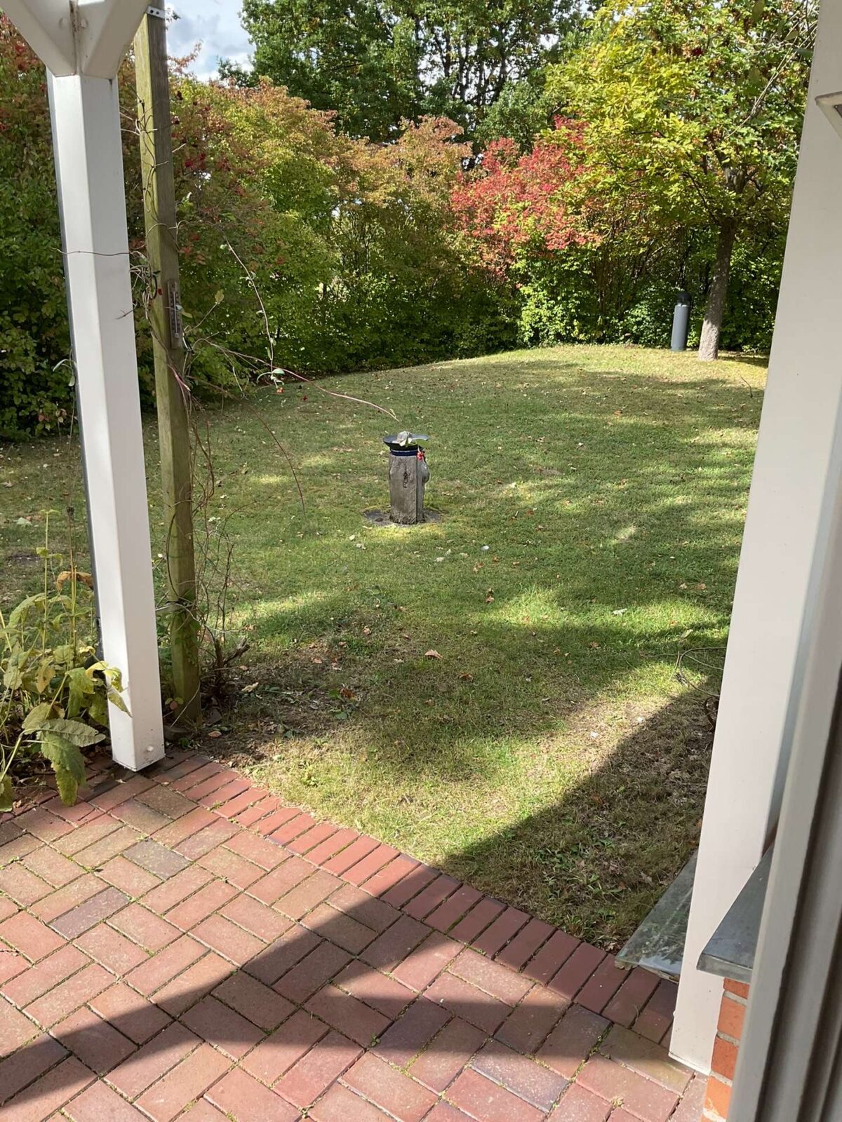 Blick von der Terrasse