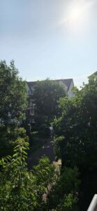 Ausblick