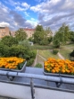 Balkon - Direkt einziehen / 3 Zimmer Penthousewohnung zur Selbstnutzung