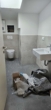 Badezimmer - Neubau-Dachgeschosswohnung im Altbau – ökologisch & stilvoll