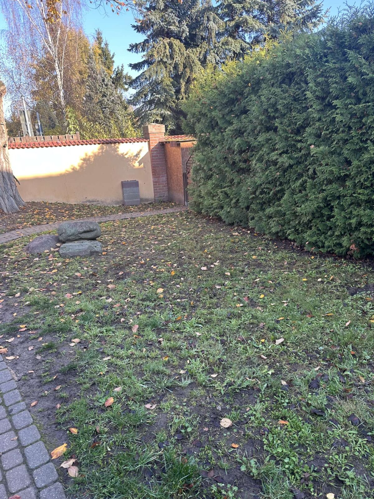Blick in den Garten