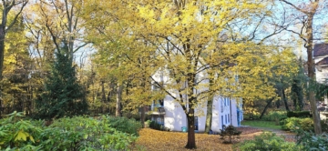 Geräumige 2 Zimmerwohnung mit Balkon im Grünen, 15366 Hoppegarten, Etagenwohnung